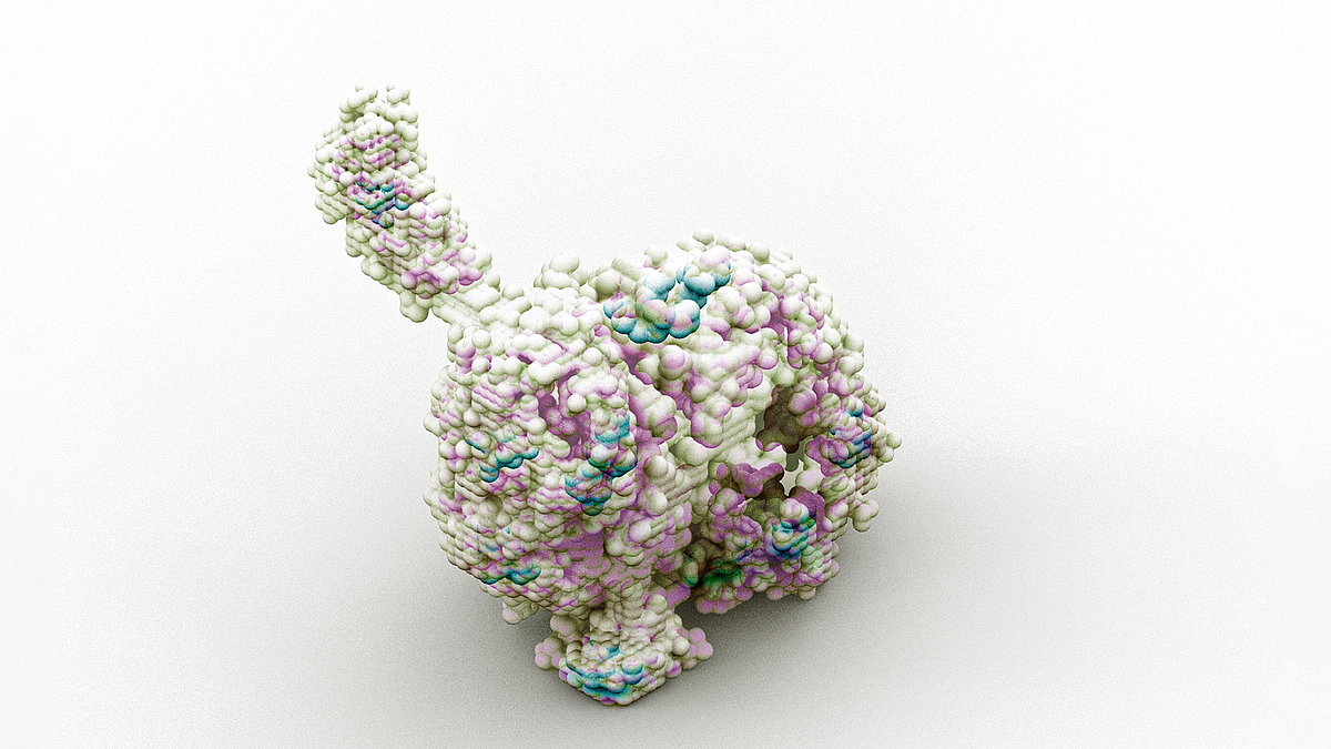 Voxelisiertes Stanford Bunny